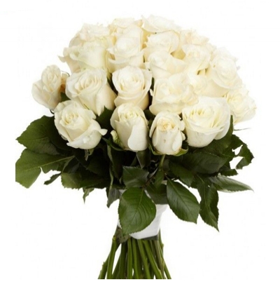 ukrayna ayıcıklı 11 gül Çiçeği & Ürünü Ukrayna 19 Beyaz Gül Buketi 